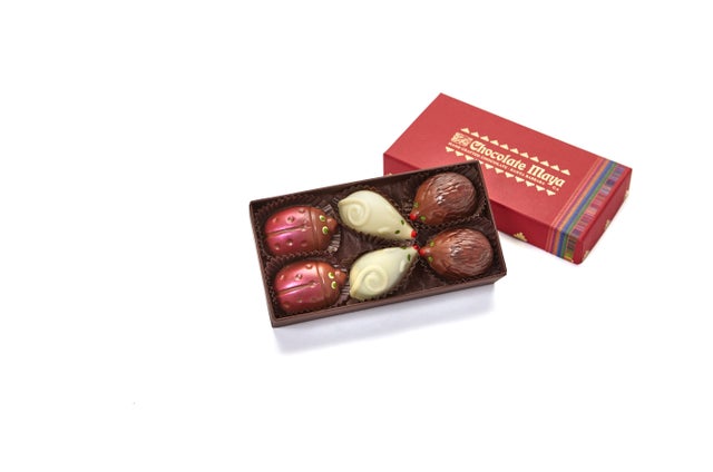 Chocolate Maya LLC